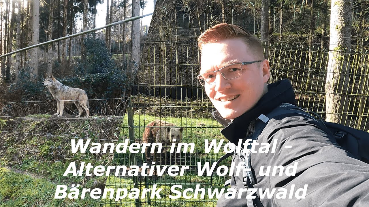 Wandern im Wolftal - Alternativer Wolf- und Bärenpark im Schwarzwald 🌳