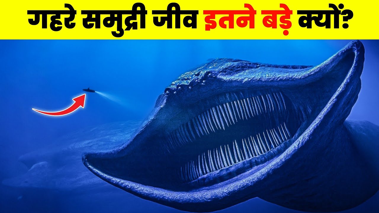 Why Deep Sea Creatures Evolving Into Giant? | Deep Sea Mystery