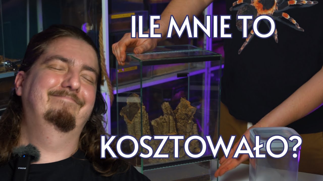 Kupiłem samice NAJBARDZIEJ JADOWITYCH PTASZNIKÓW!
