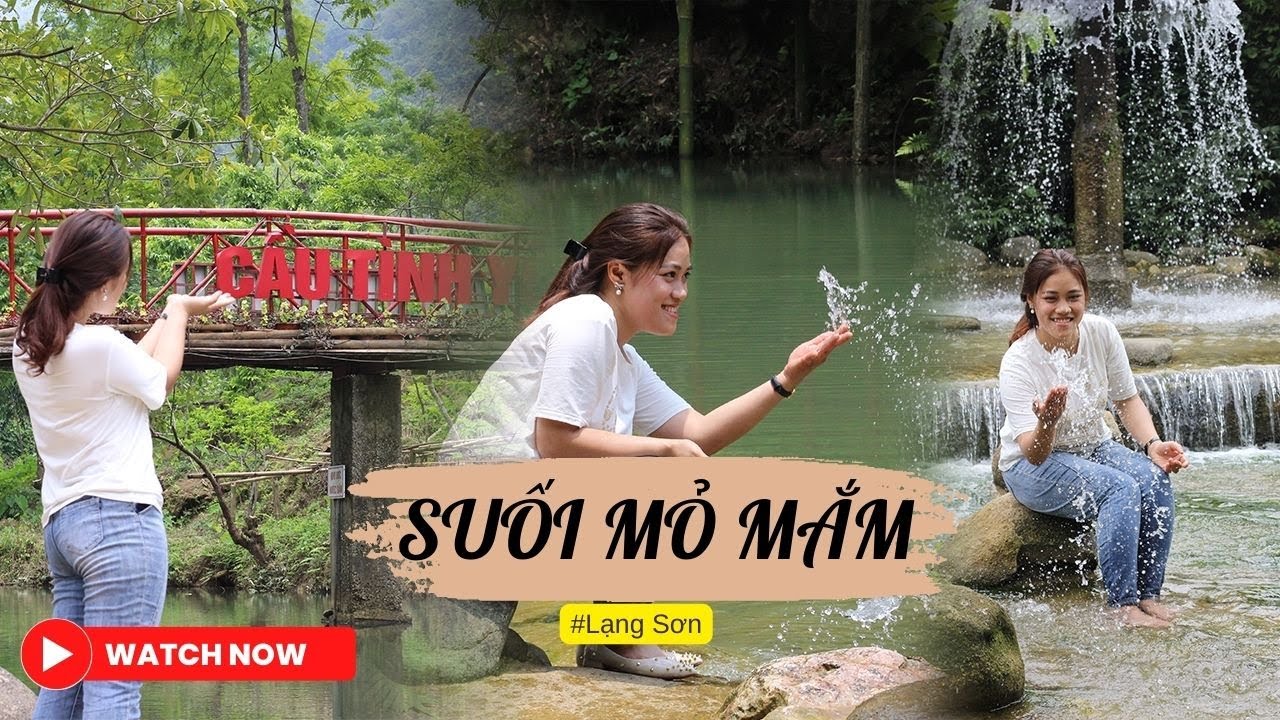 Khu Sinh Thái Suối Mỏ Mắm: Điểm Du Lịch Thơ Mộng và Hoang Sơ Tại Lạng Sơn