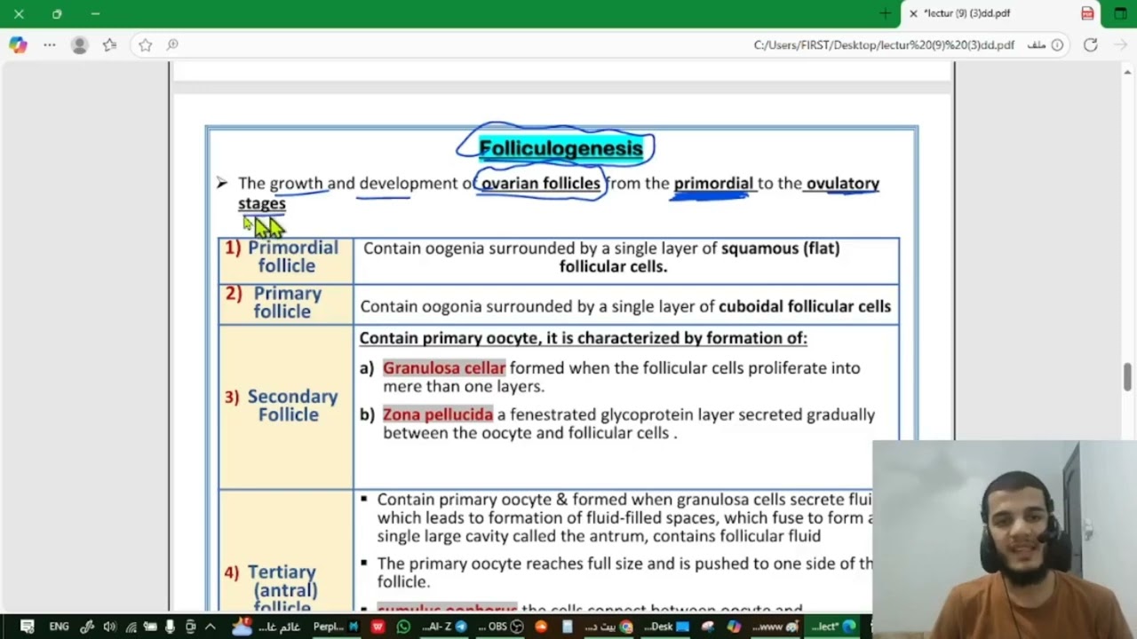 Embryology (part 2 ) oogenesis دكتور علي صقر 