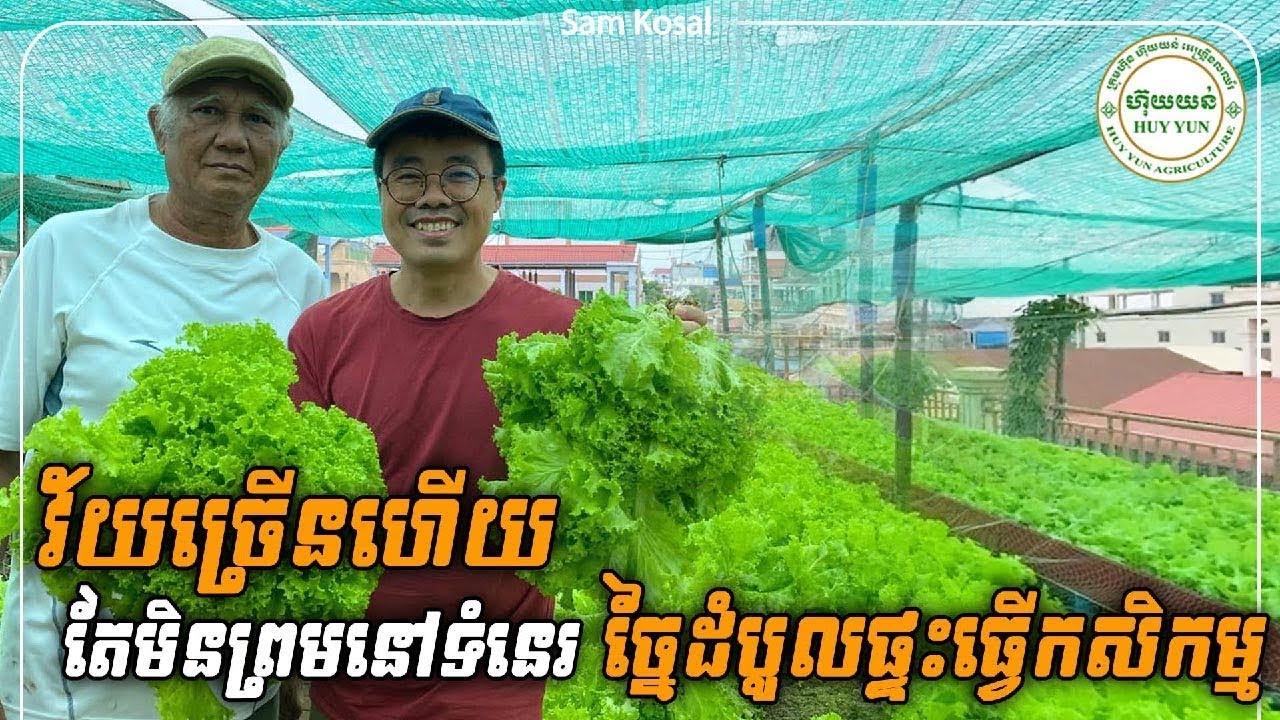 អ៊ុប្រុសម្នាក់នេះវ័យច្រេីនហេីយ តែមិននៅទំនេរ ច្នៃដំបូលផ្ទះដាំសាទ្បាតរសជាតិឆ្ងាញ់ខុសគេ  !