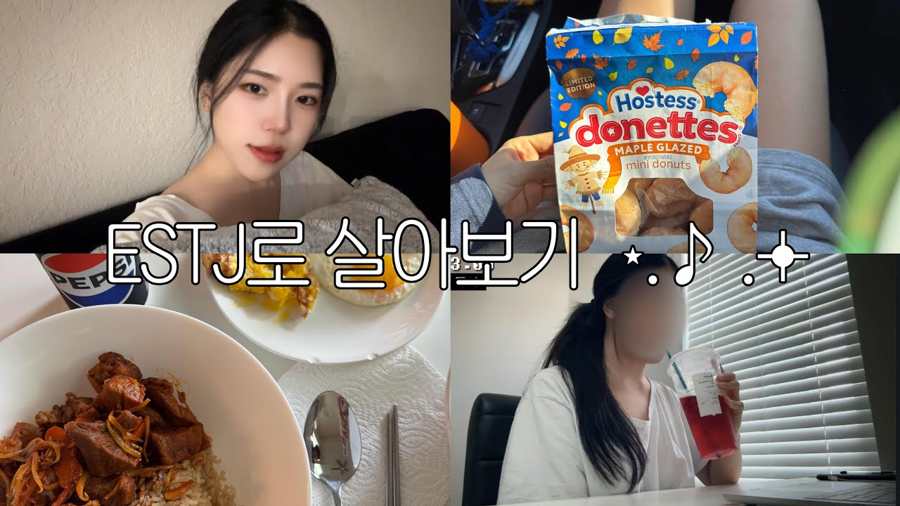 ESTJ로 살아보는 브이로그