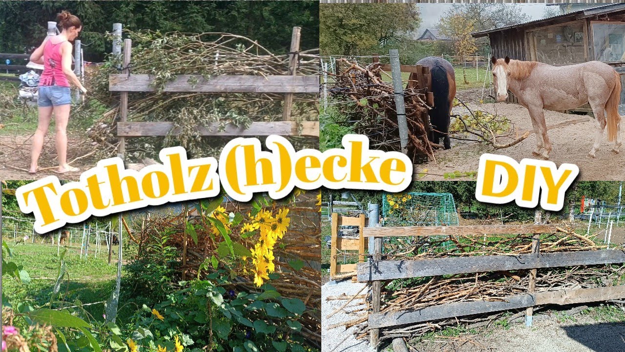 Pferde DIY - Totholzhecke für Paddocktrail - Beschäftigung am Paddock -  Knabbersträucher & Kräuter