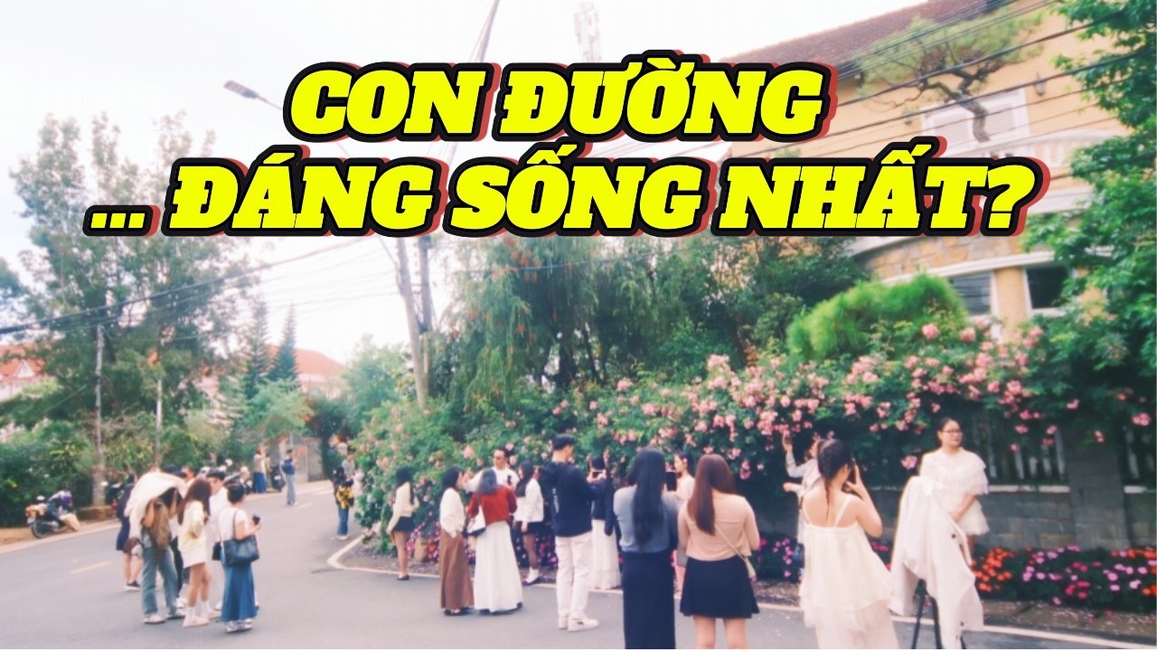 Con đường đẹp nhất Đà Lạt? – Đi bộ ở Cô Giang và hiểu vì sao thành phố này đáng sống