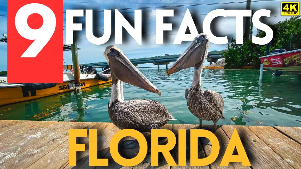 You Won't Believe These 9 Shocking Facts About Florida!