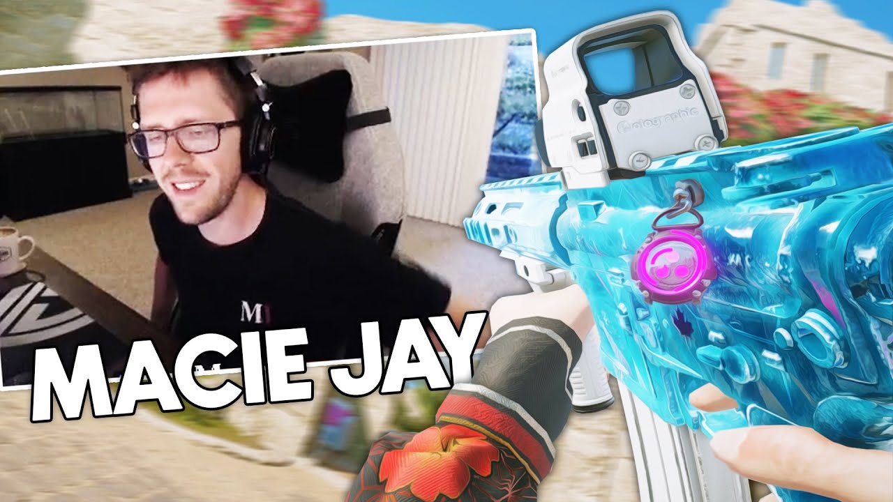 pigeon vs macie jay