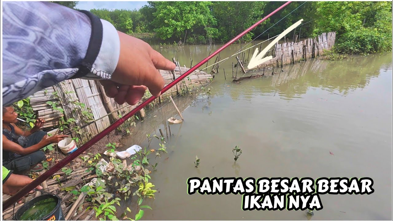 Seperti inilah spot mancing kalau masih belum di pancingi sama sekali,ikan nya besar besar