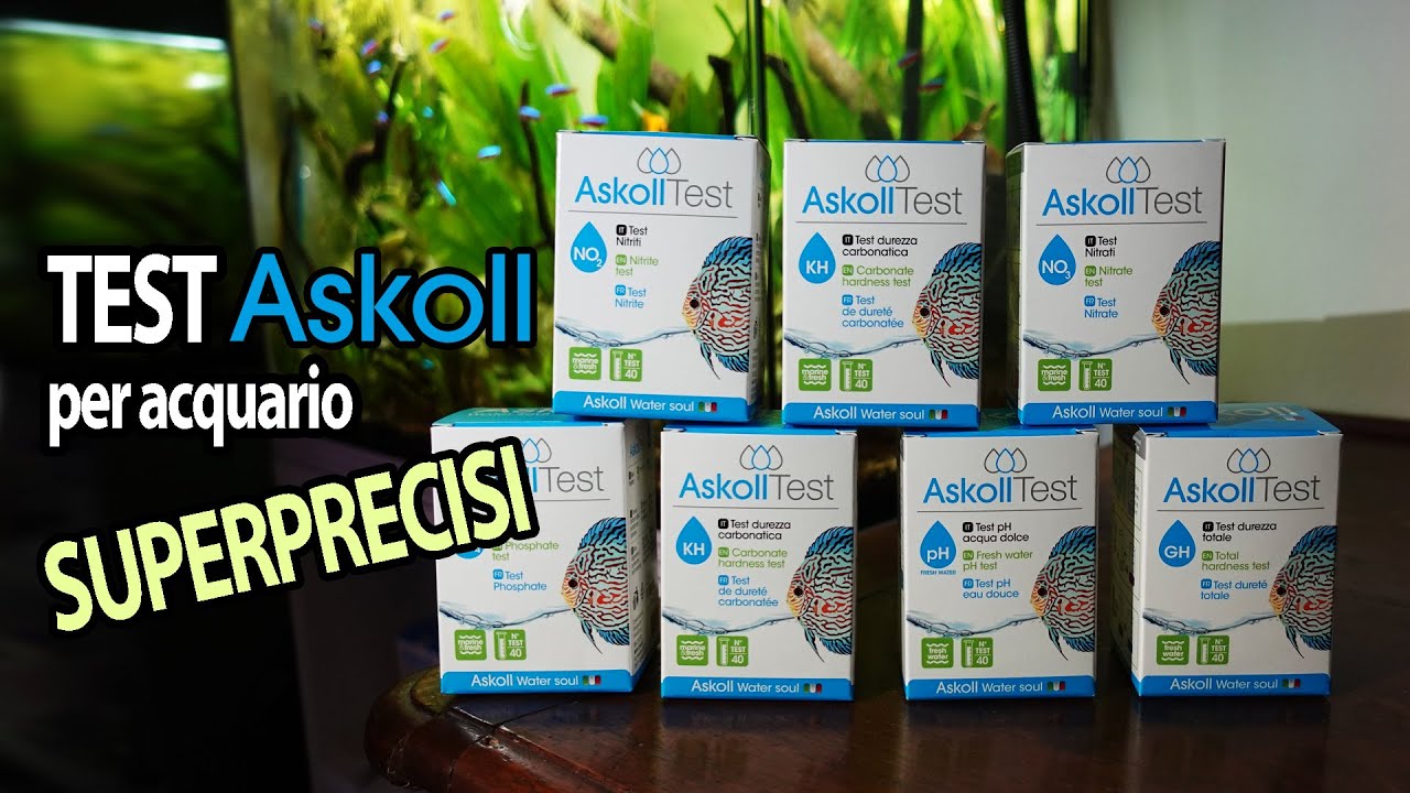 I Test per Acquario Askoll (I migliori che abbia mai provato)