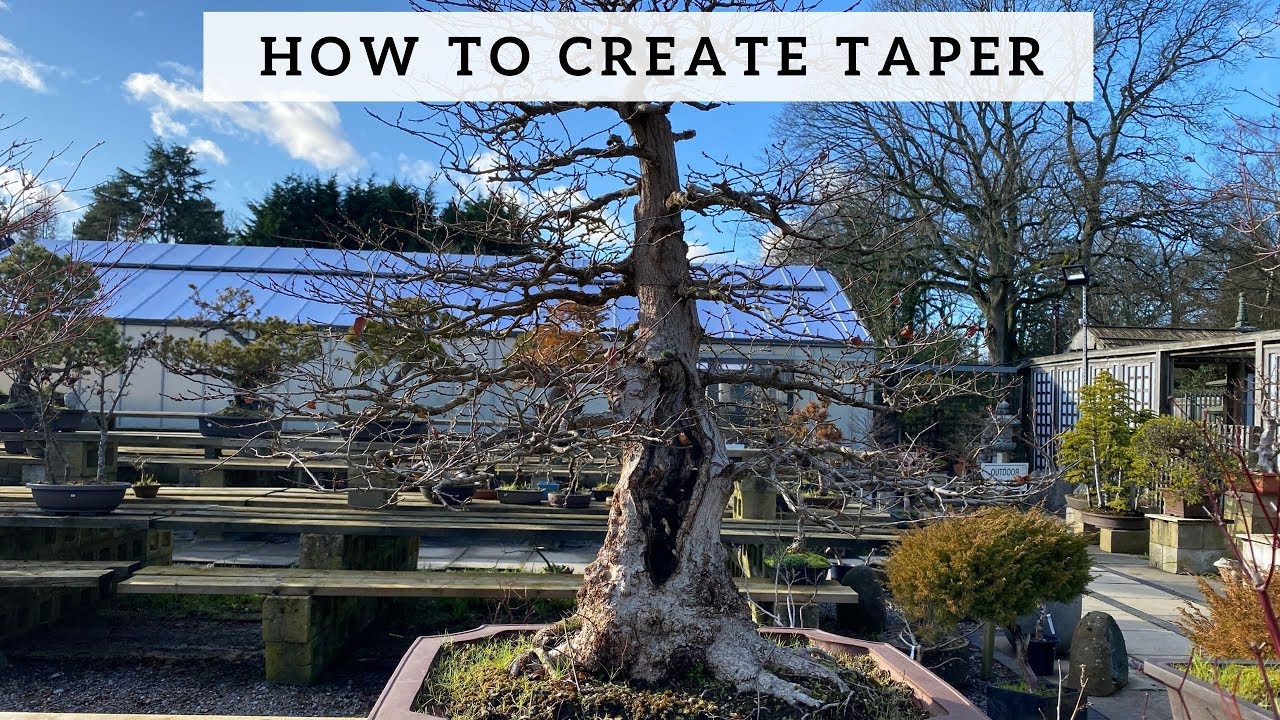 How To Create Taper