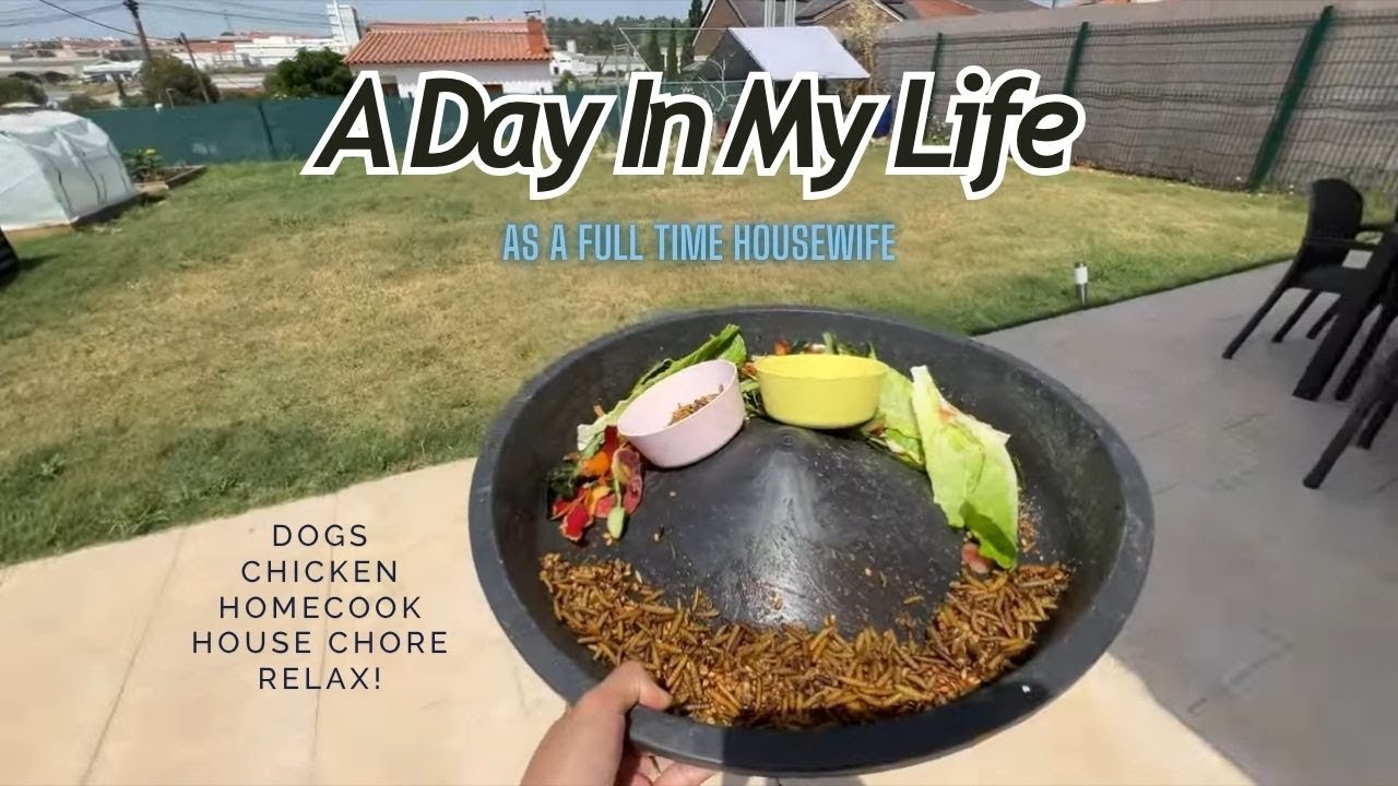 A Day In My Life As A Full Time Housewife