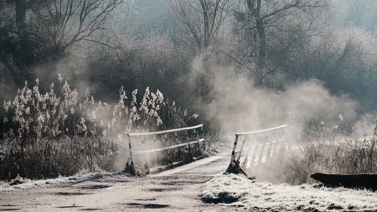 Best of 2025 Tájak