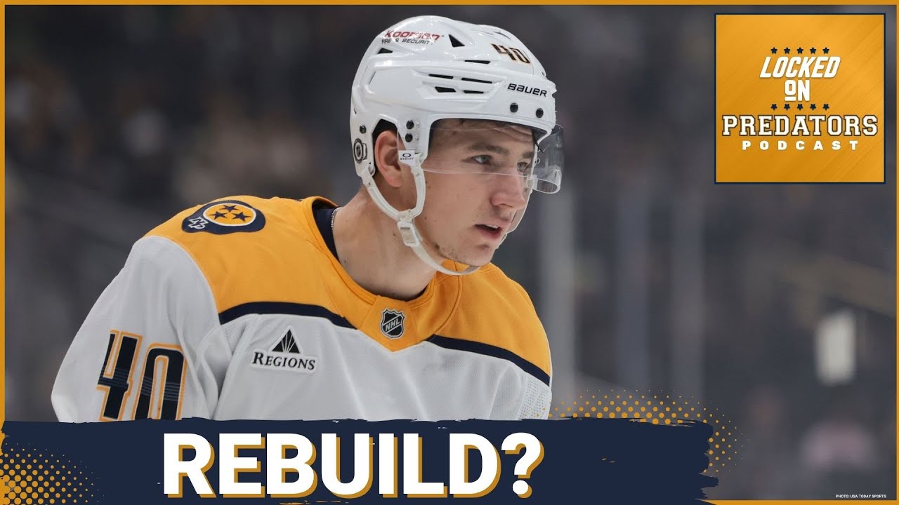 REBUILD or FADE AWAY: What Can Predators Learn from Sharks Rebuild Journey?