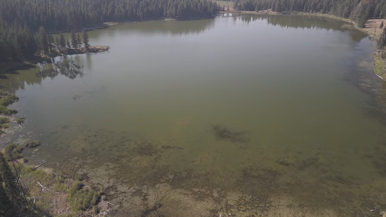 Golden Summer Lake: Tranquil Drone Flight Over Sunlit Shores & Hidden Forests