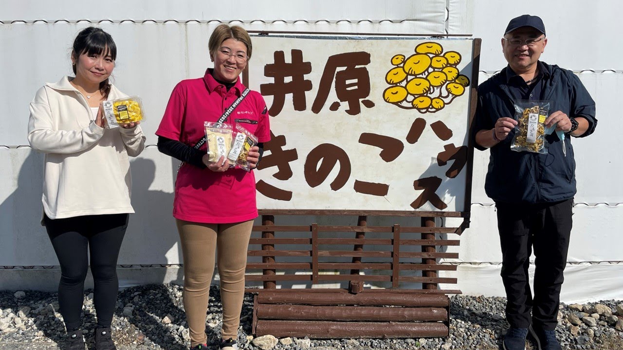 生産者の声　商品名：株式会社　オンザライズ　生産者：井原きのこハウス　たもぎ茸（チアひろしま　広島県産応援登録制度）
