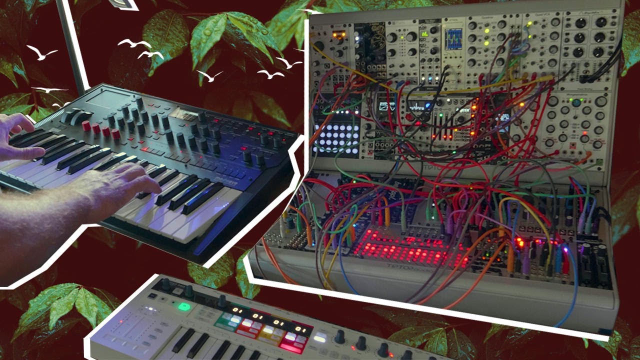 Fight or Flight (Modular, Korg Modwave, Vocals)