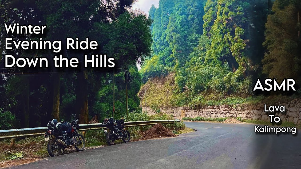 POV Relaxing Ride down Hill Road, Winter Evening | North Bengal, Himalayan