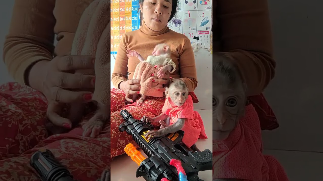 Adorable baby monkey family 