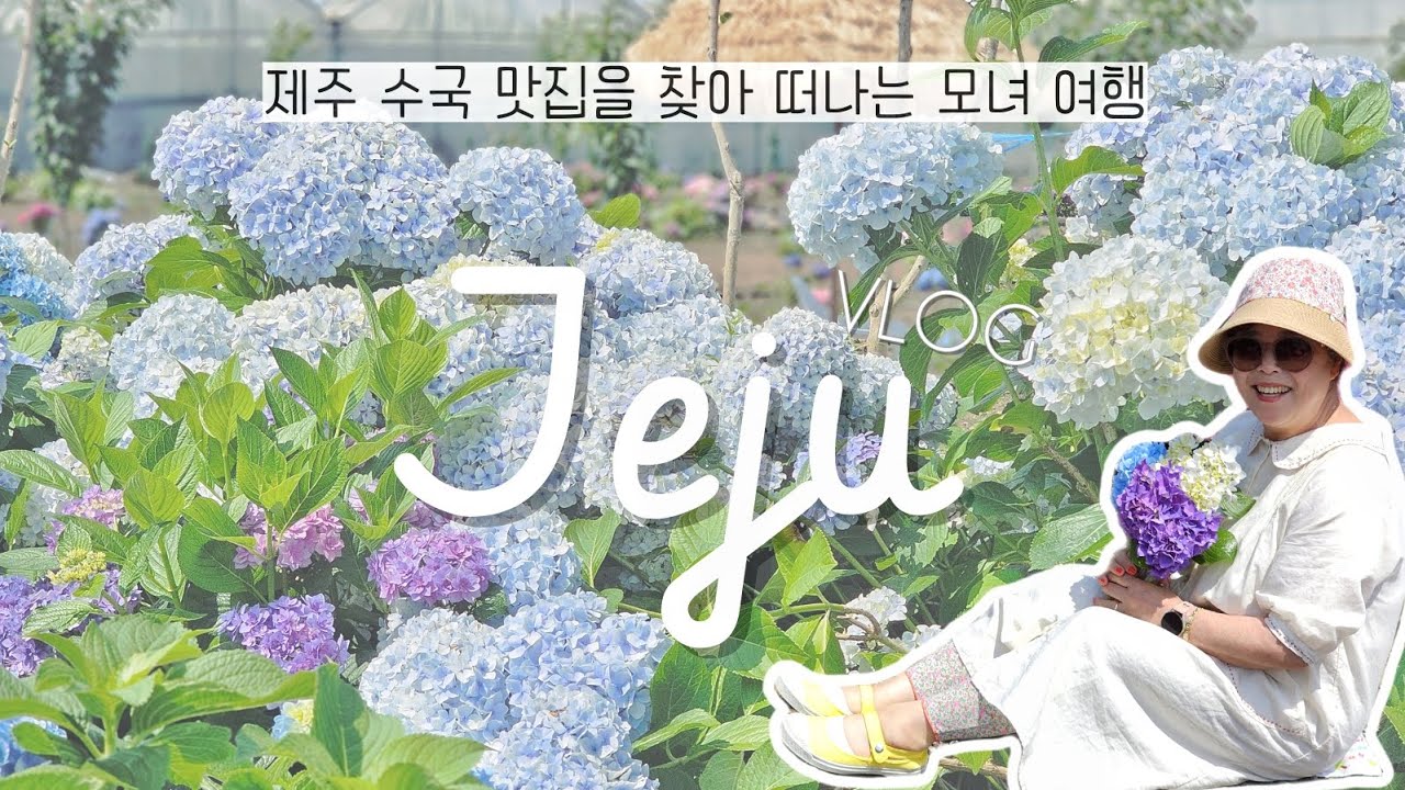 제주여행 브이로그 🧡 수국이 만개하여 | 급 떠난 제주 동쪽 여행 | 답다니 수국밭 | 숙성도 오픈런  | 제주 에어비앤비