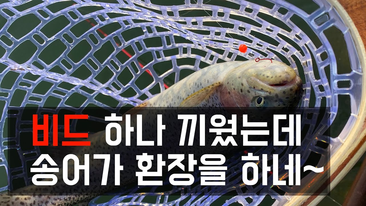 너무 잘 잡히면 반칙채비? 송어가 삼킬일 없는 안전한 채비입니다.