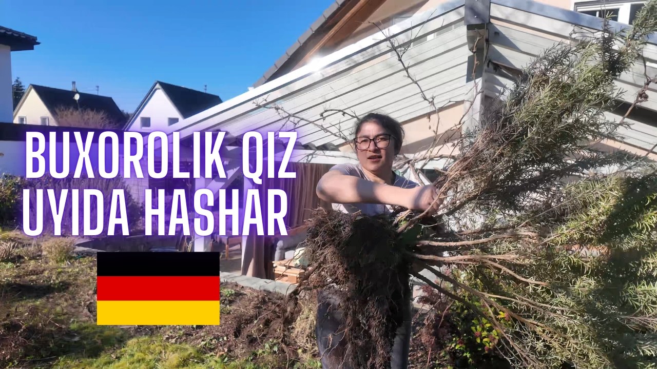 GERMANIYADAGI BOGÍMDA BAHORGI HASHAR