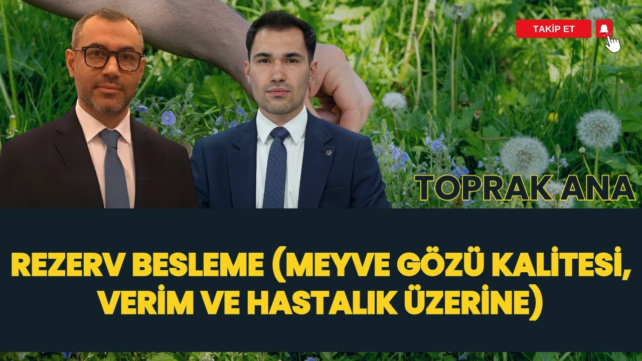 REZERV BESLEME (MEYVE GÖZÜ KALİTESİ, VERİM VE HASTALIK ÜZERİNE) I TOPRAK ANA