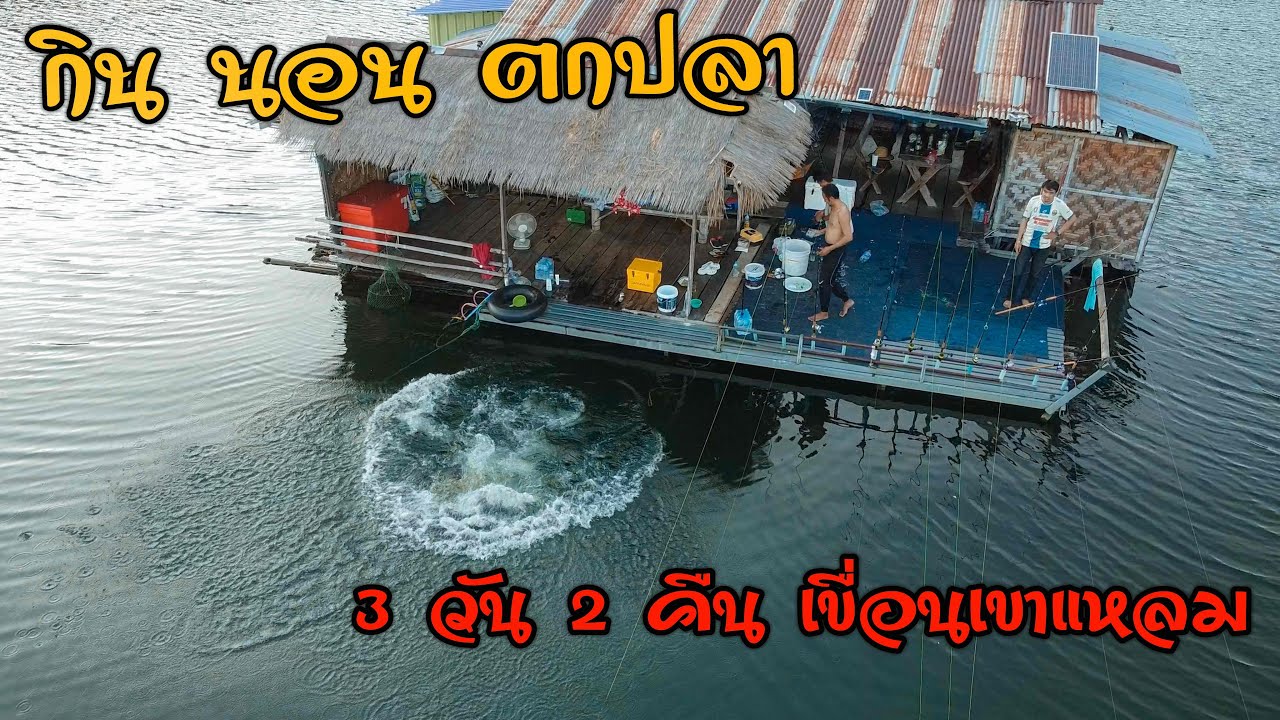 ถล่มฝูงปลาตะเพียนใหญ่ เขื่อนเขาแหลม/แพไต๋ดา