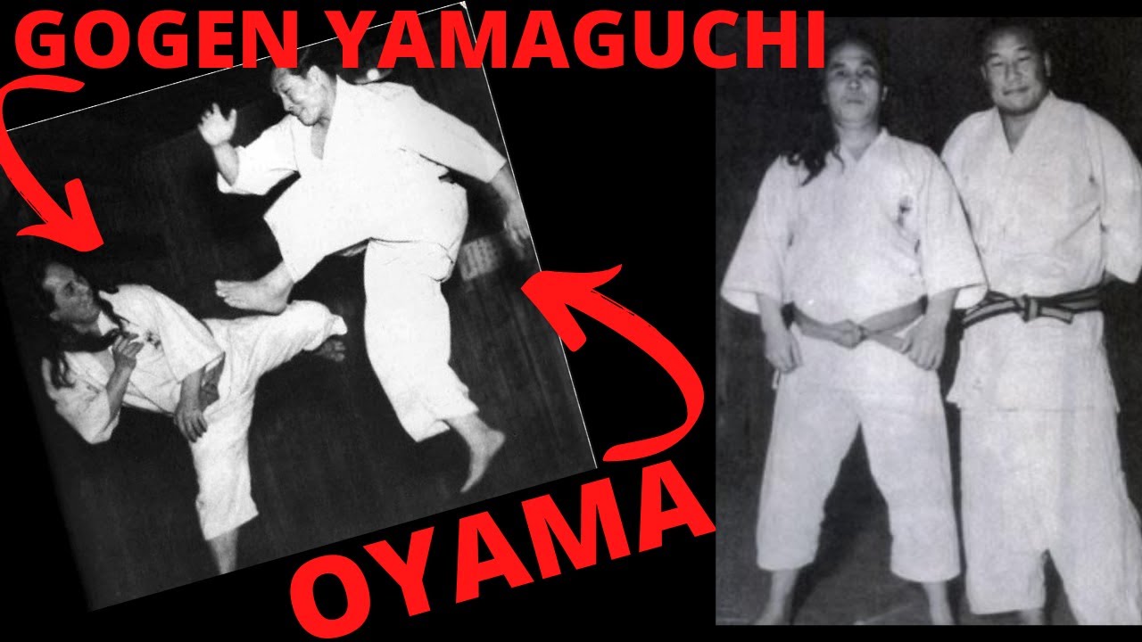 KARATE RAIZ 3 ESTILOS KIYOKUSHIN,GOJURYU E SHOTOKAN