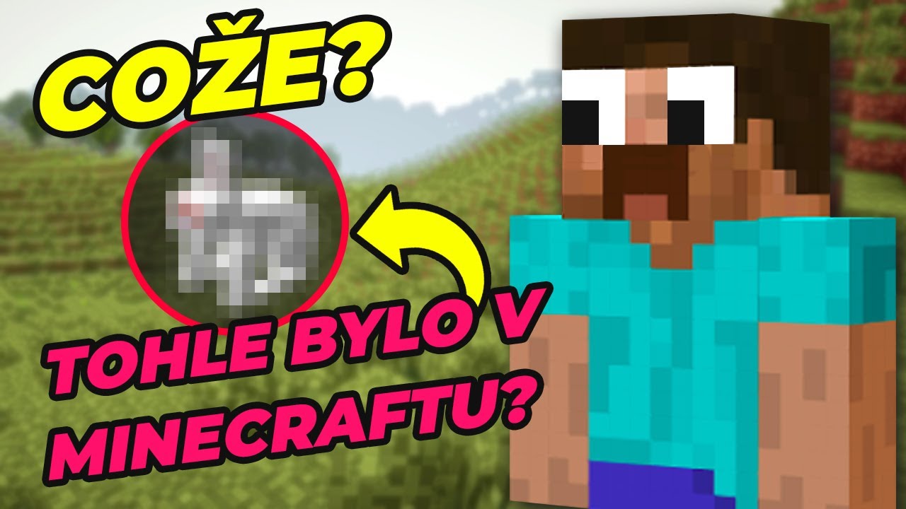 NEJLEPŠÍ EASTER EGGY V MINECRAFTU!