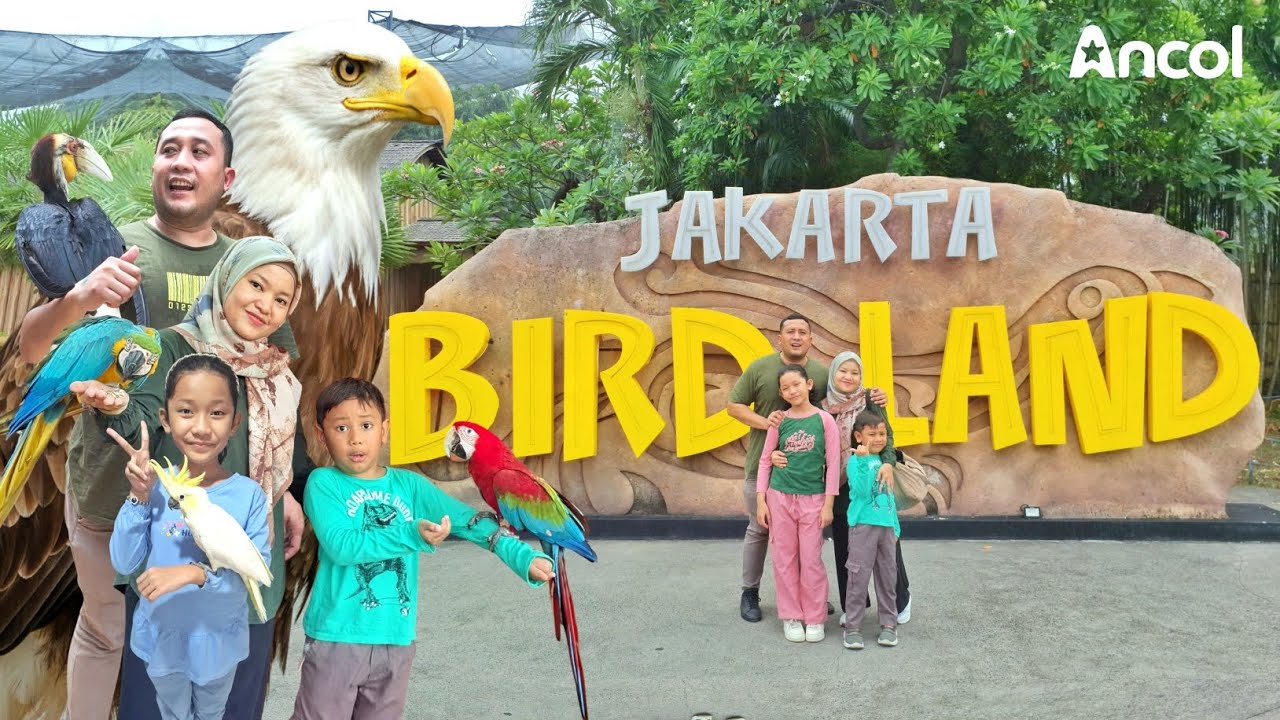 Review Lengkap Jakarta Bird Land Ancol Terkini | Taman Burung Ancol Jakarta