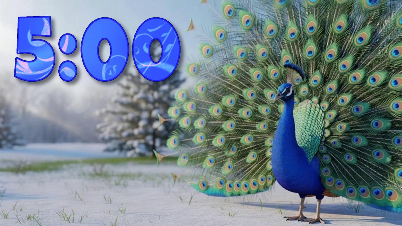 5 Minute Calm Music Timer - Shimmering Peacock 🦚✨