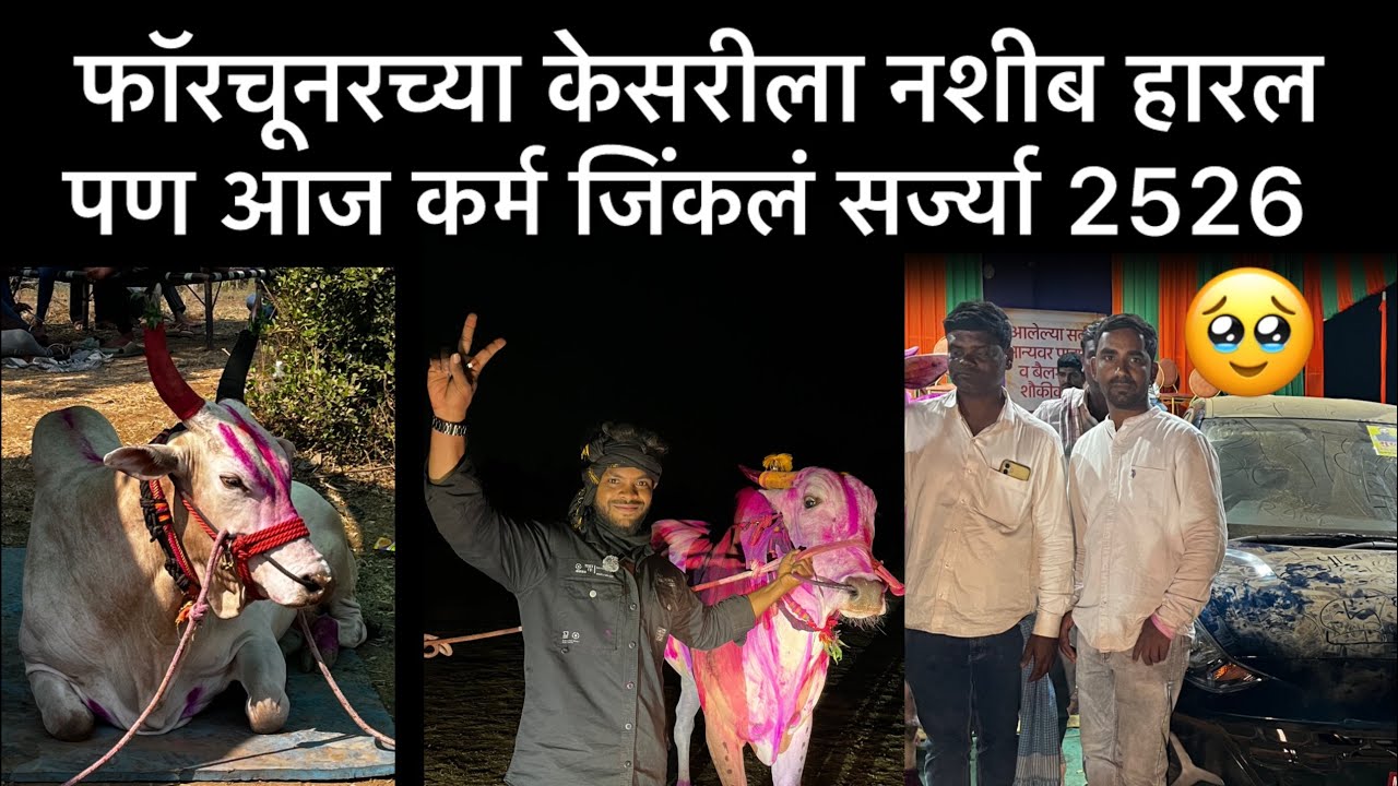 बकासुर V/S  भुंगा होणार होती बकासुरचे मालक 🥺नाराज नय झाले ना पूर्ण दिवस बकासुर प्रेमींसाठी मैदानात