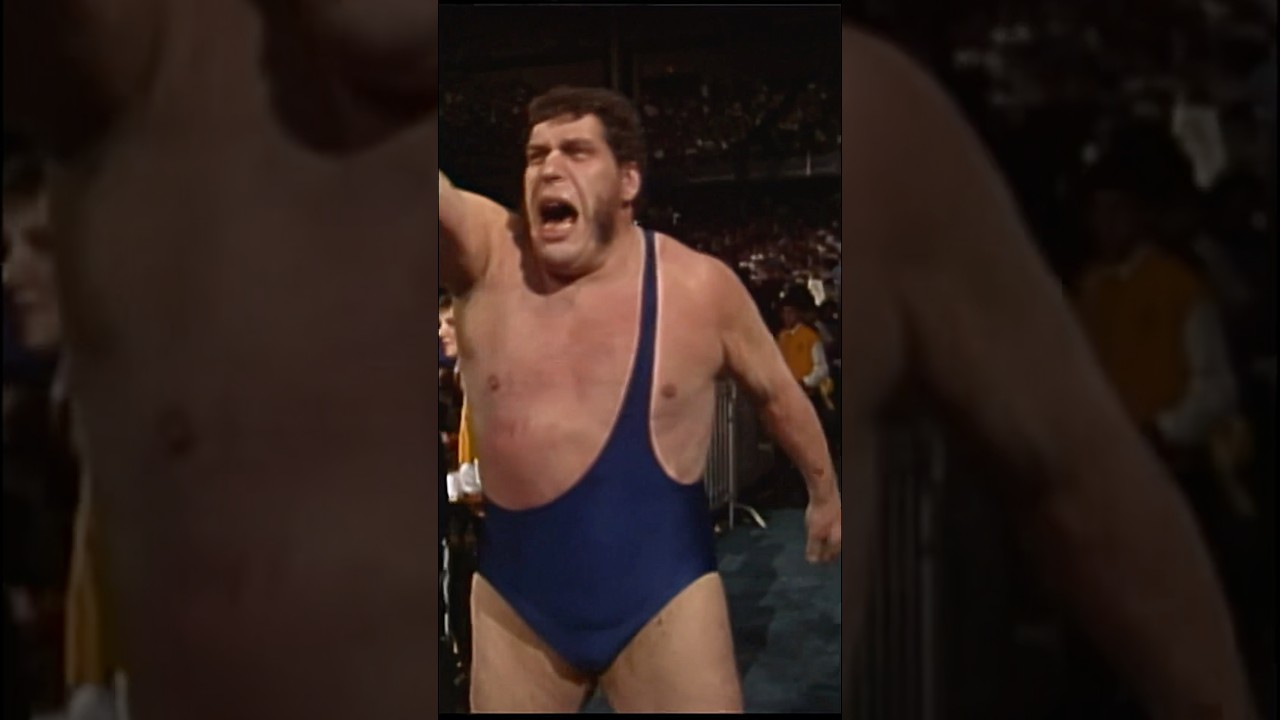 Andre got knocked silly by The Warrior