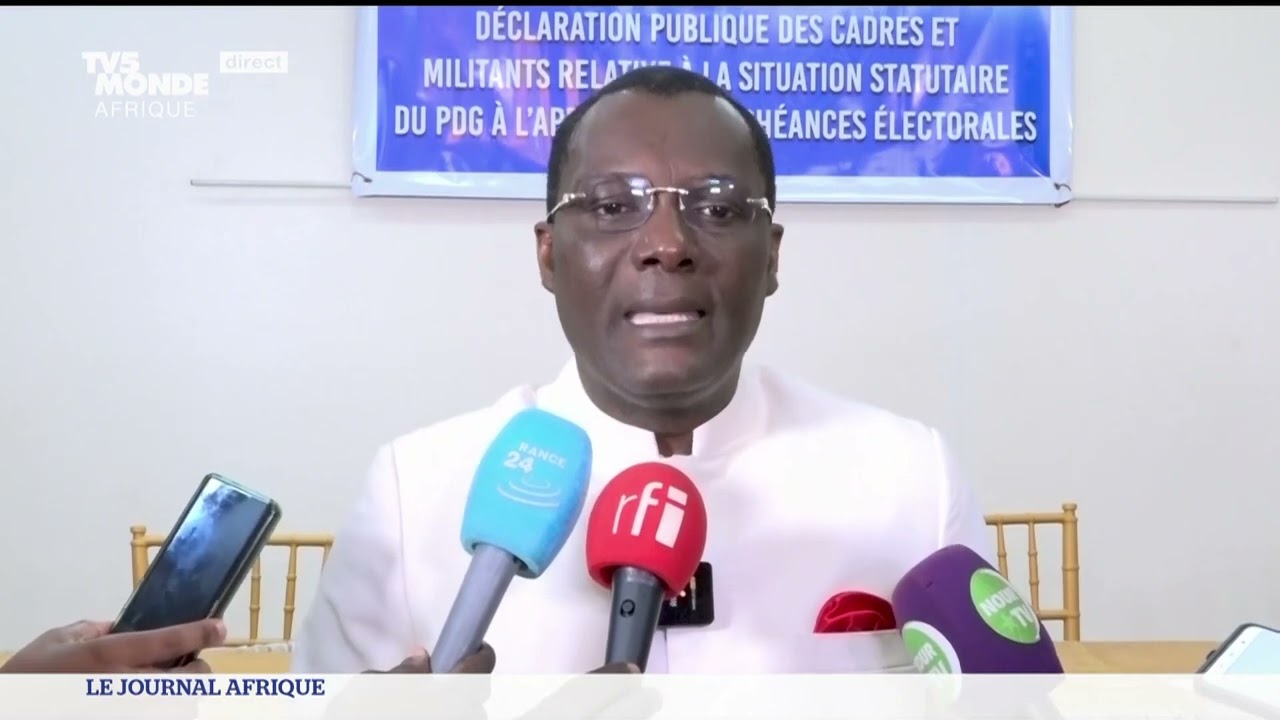 Gabon : le parti du président déchu se divise
