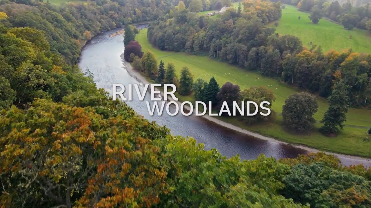 River woodland Planting trees to save Scotland's salmon Woodland Trust