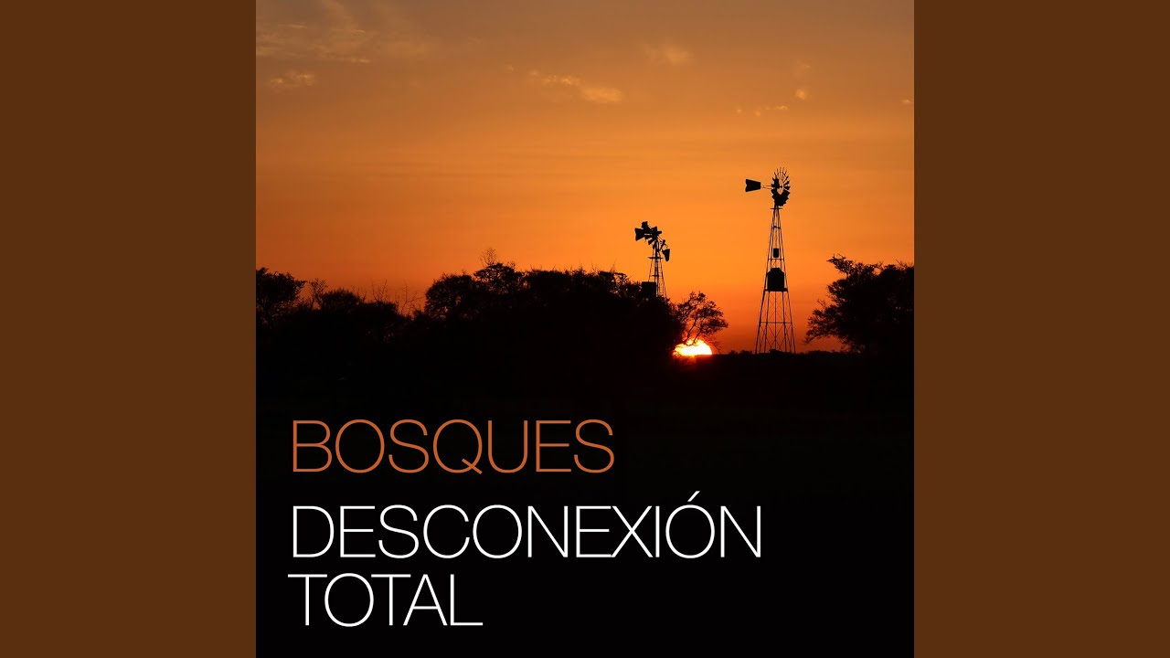 Desconexi&oacute;n total