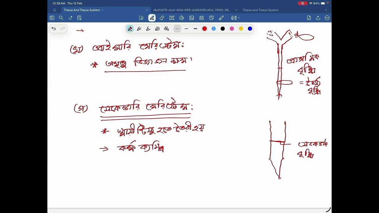 Tissue and Tissue System(টিস‍্যু ও টিস্যুতন্ত্র )Botany chapter8 HSC for Academic& MedicalAdmission 