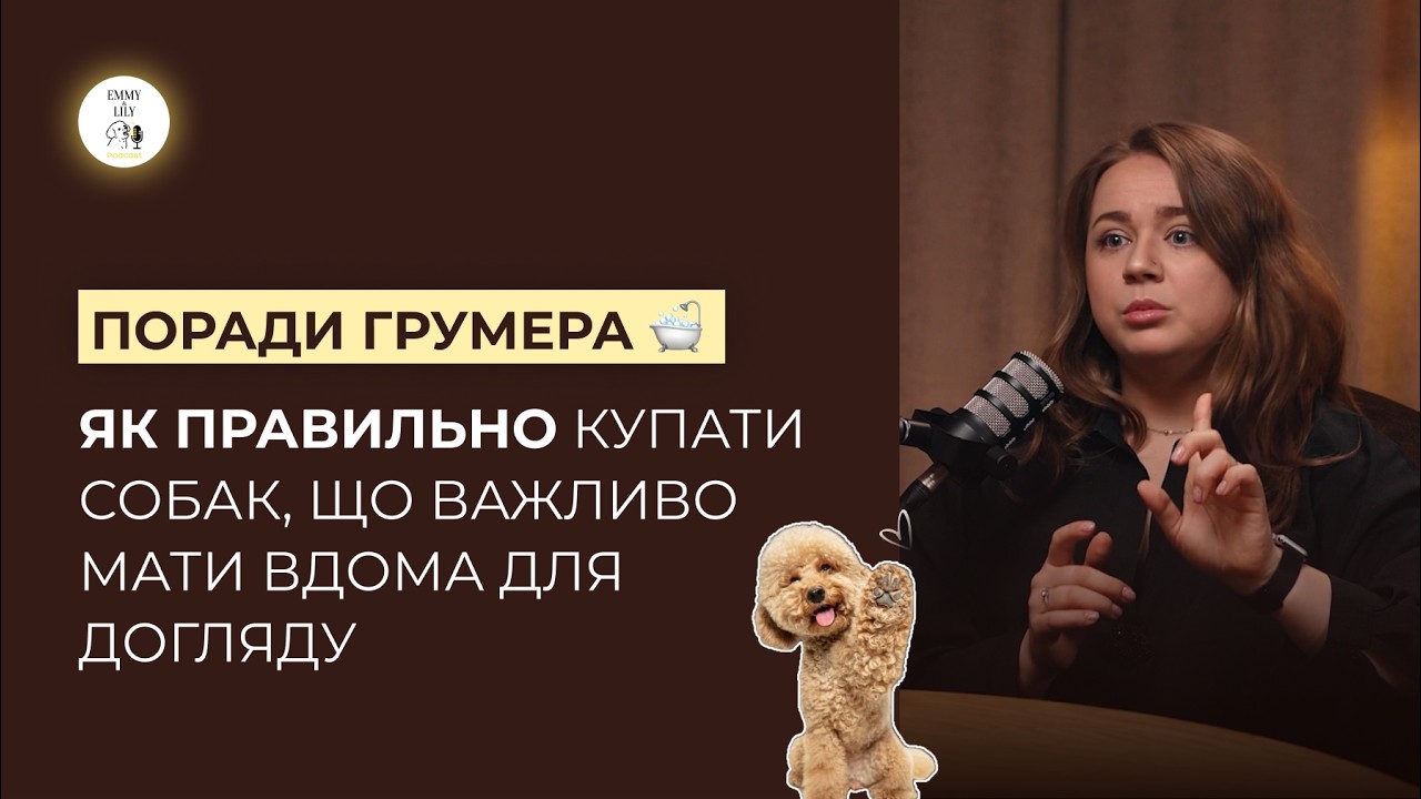 Поради грумера: як купати собаку вдома | що потрібно обов'язково мати для догляду