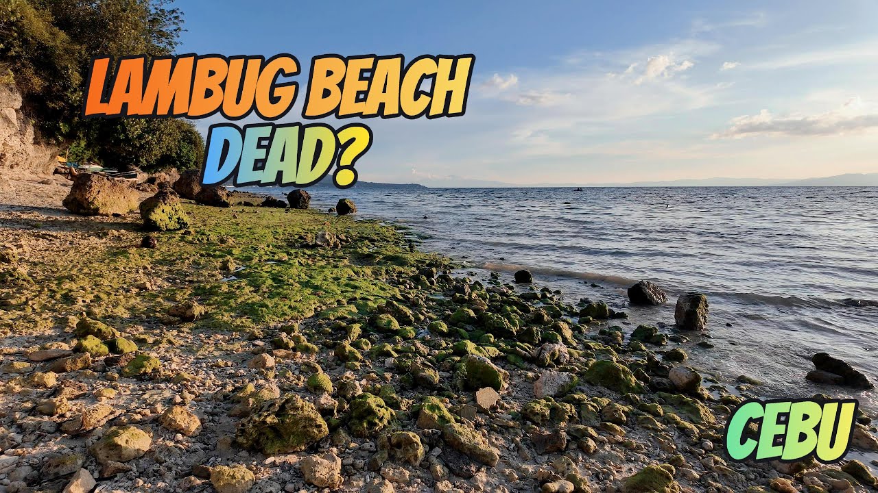 Lambug Beach, Cebu Philippines Sunset 2024 4k walking tour, people watching