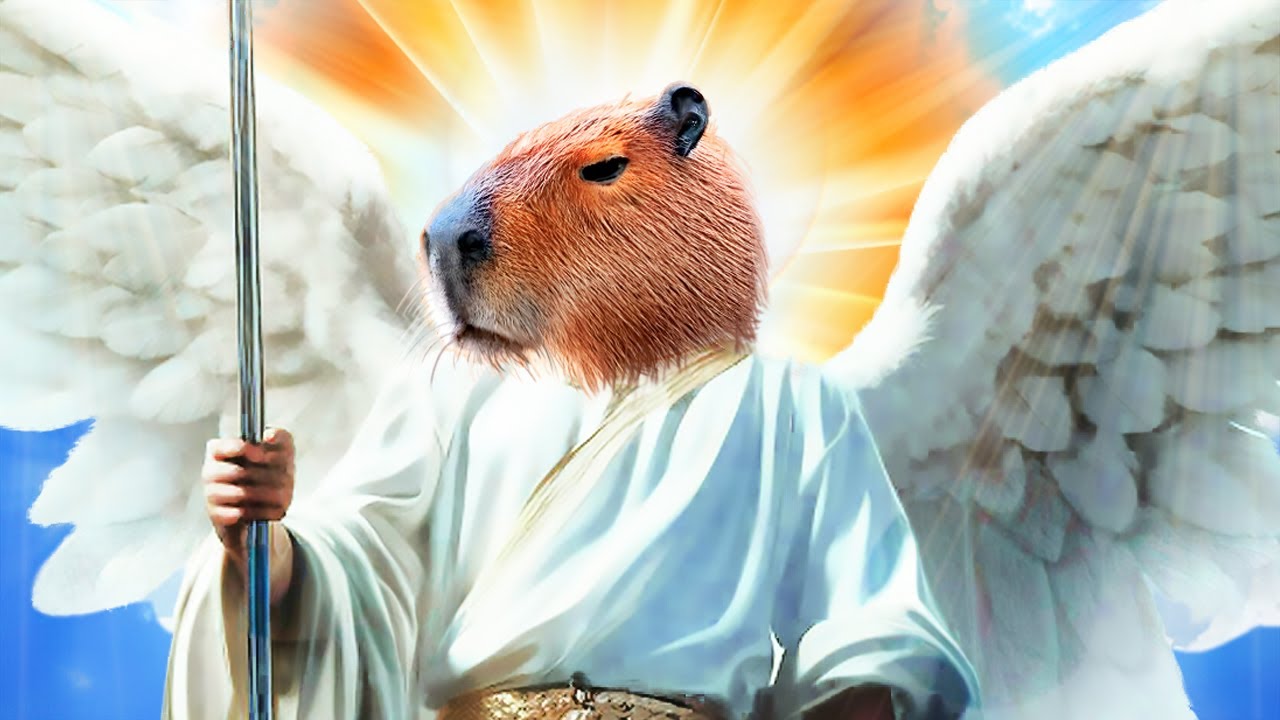 Le Capybara : POUR LES NULS