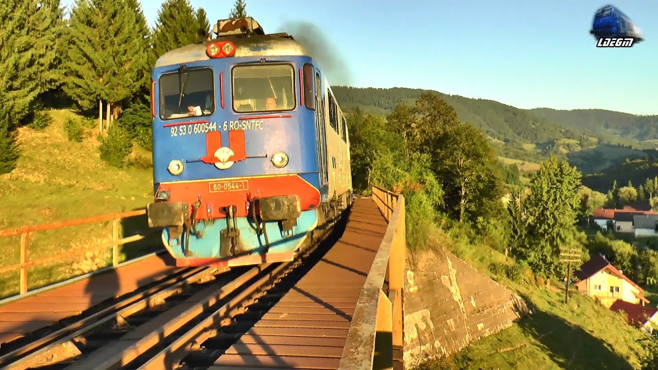 Trenuri &icirc;n Dealul Ștefăniței pe Apus 🚂🌄🚆 Trains in Dealul Ștefăniței on Sunset - 28 August 2025
