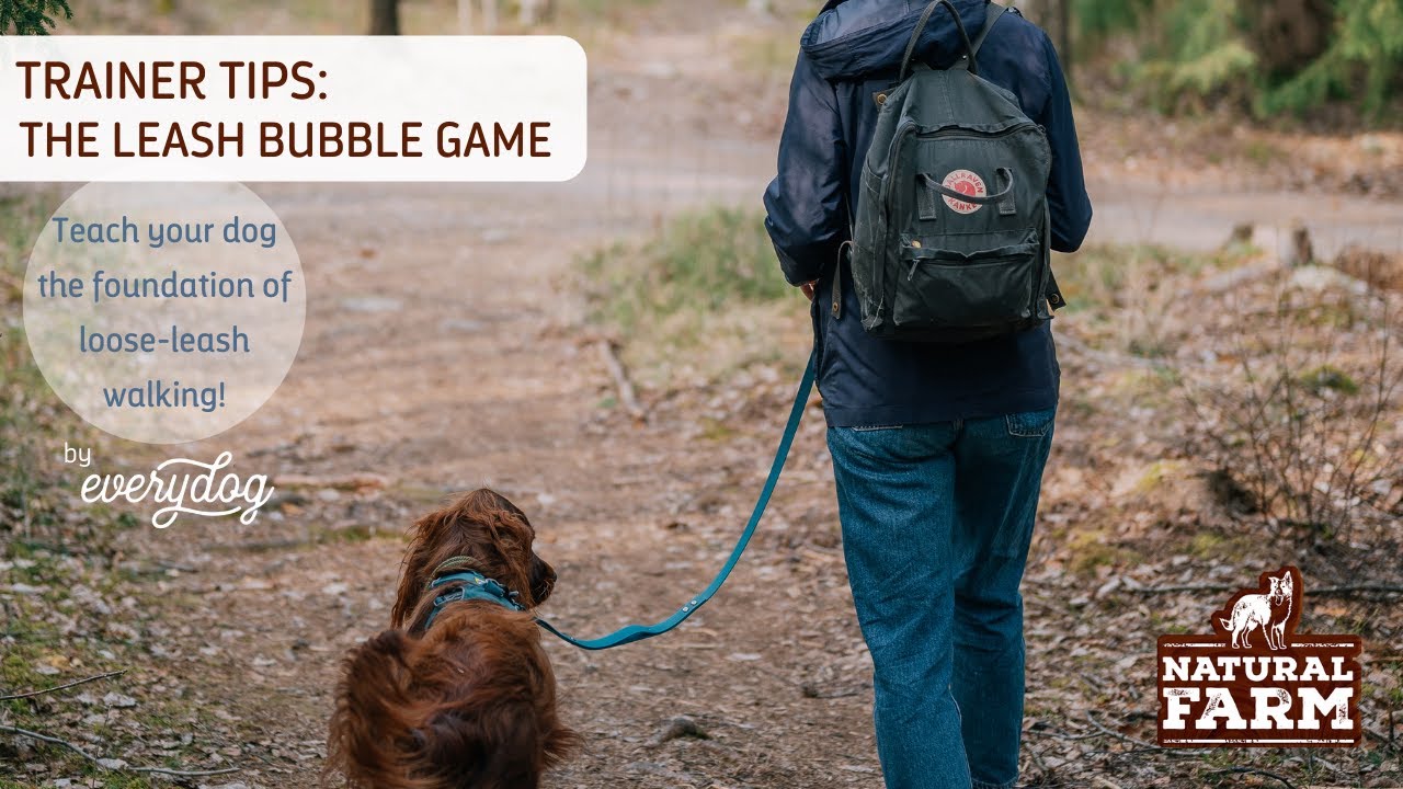 Trainer Tips: Leash Bubble Game [Natural Farm - 100% Natural Dog Chews]