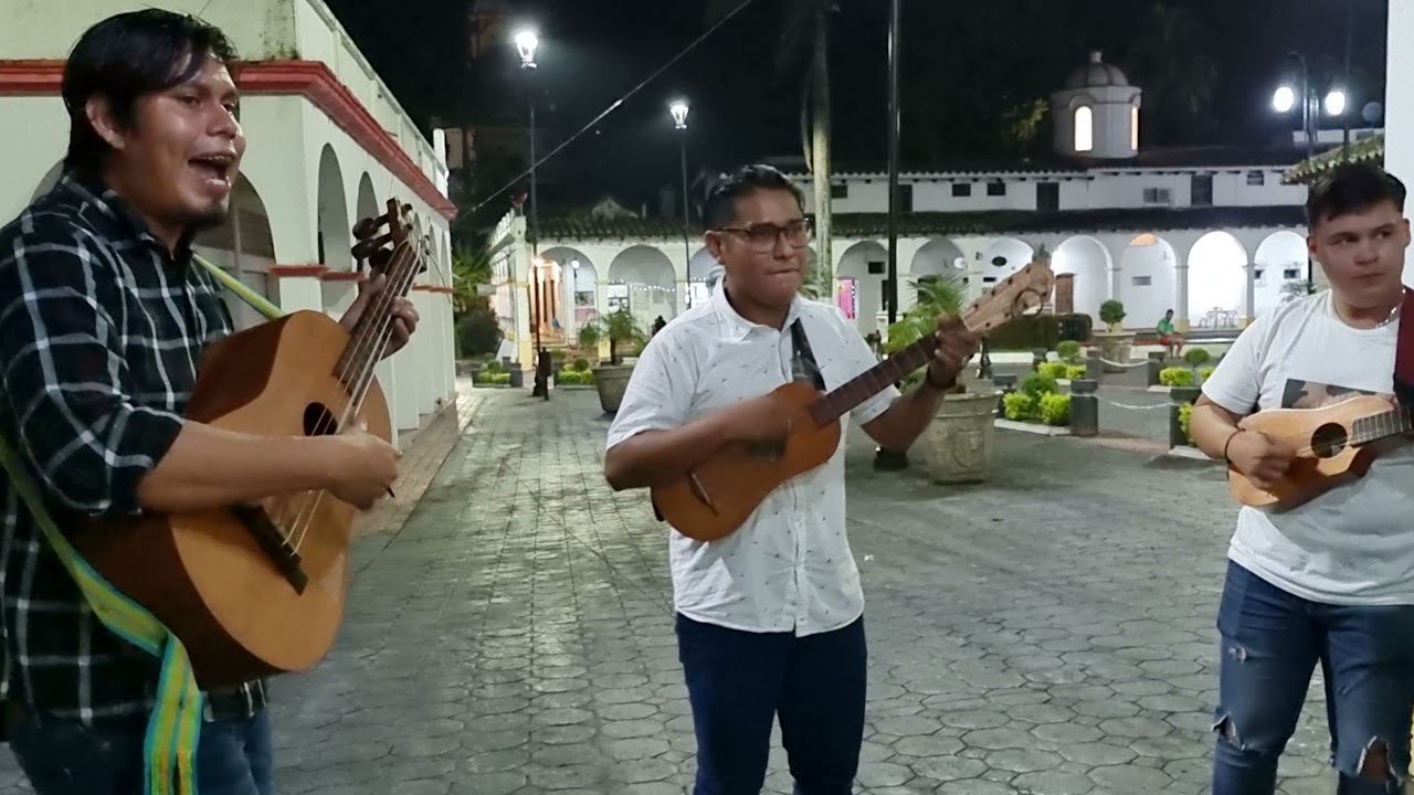 el son del pájaro carpintero
