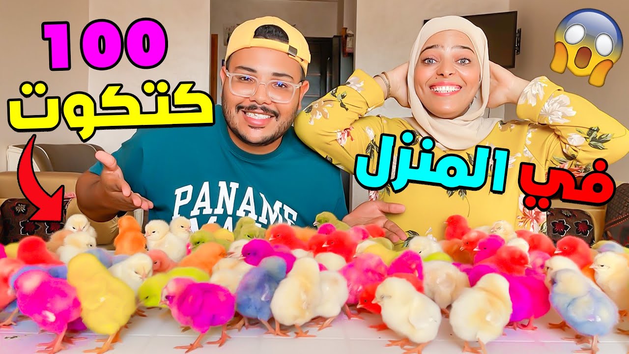 فاجأتهم ..واحضرت 100 كتكوت الى المنزل 🐥داروا معانا تحديات 😱