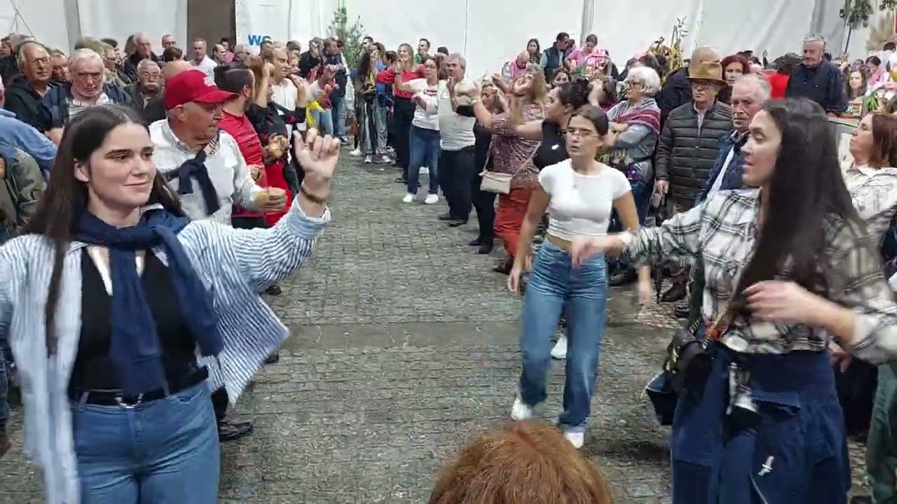 Festa das Colheitas | Vila Verde |2024.