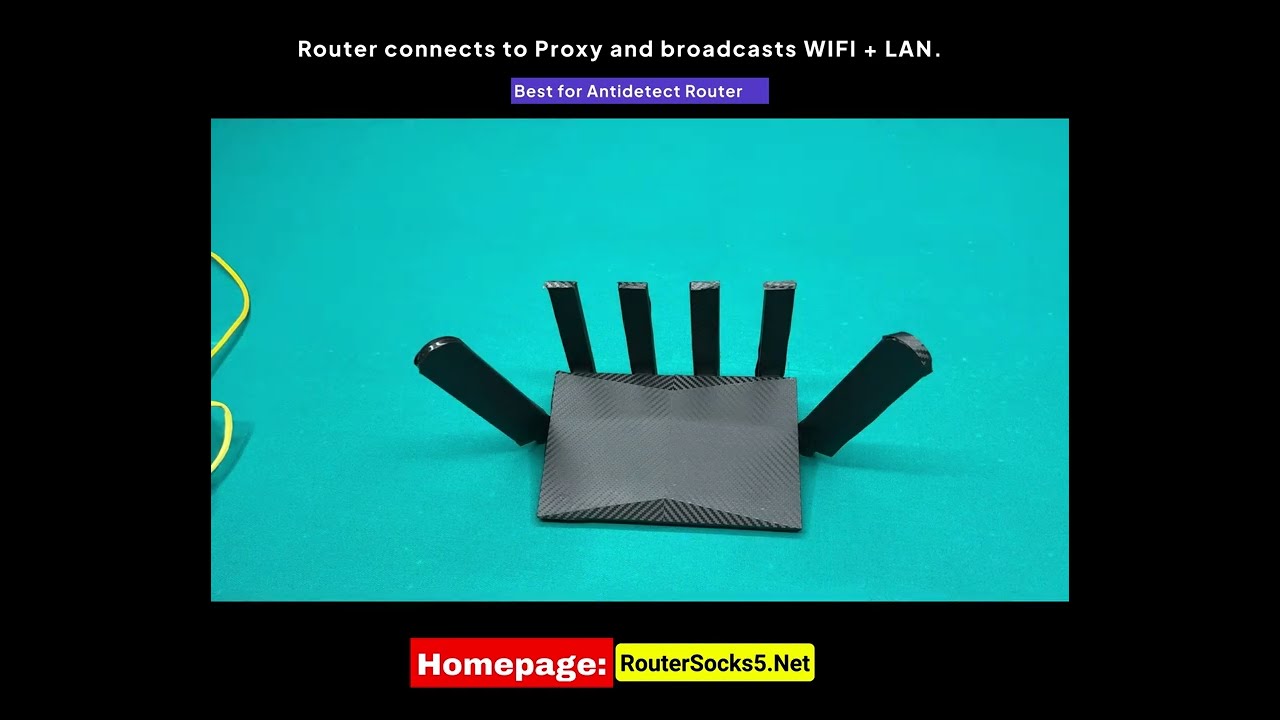 EN_ RouterSocks5 user guide and Standard IP parameter check guide.