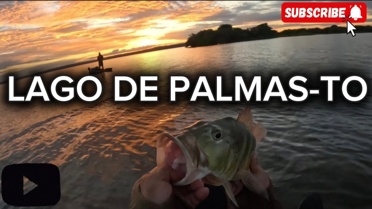 ESSA ISCA FEZ A DIFERENÇA!