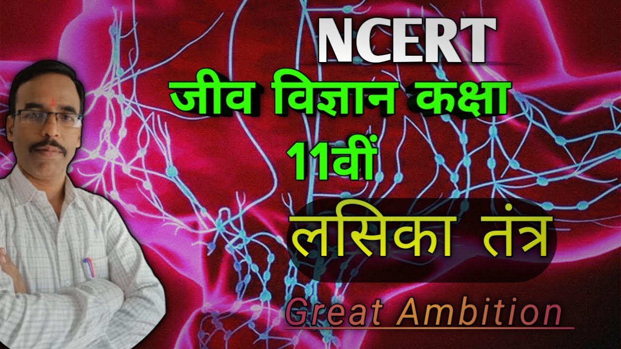 लसीका तंत्र  ( lymphatic system) लसीका काप्रवाह✍️ Great Ambition 💯