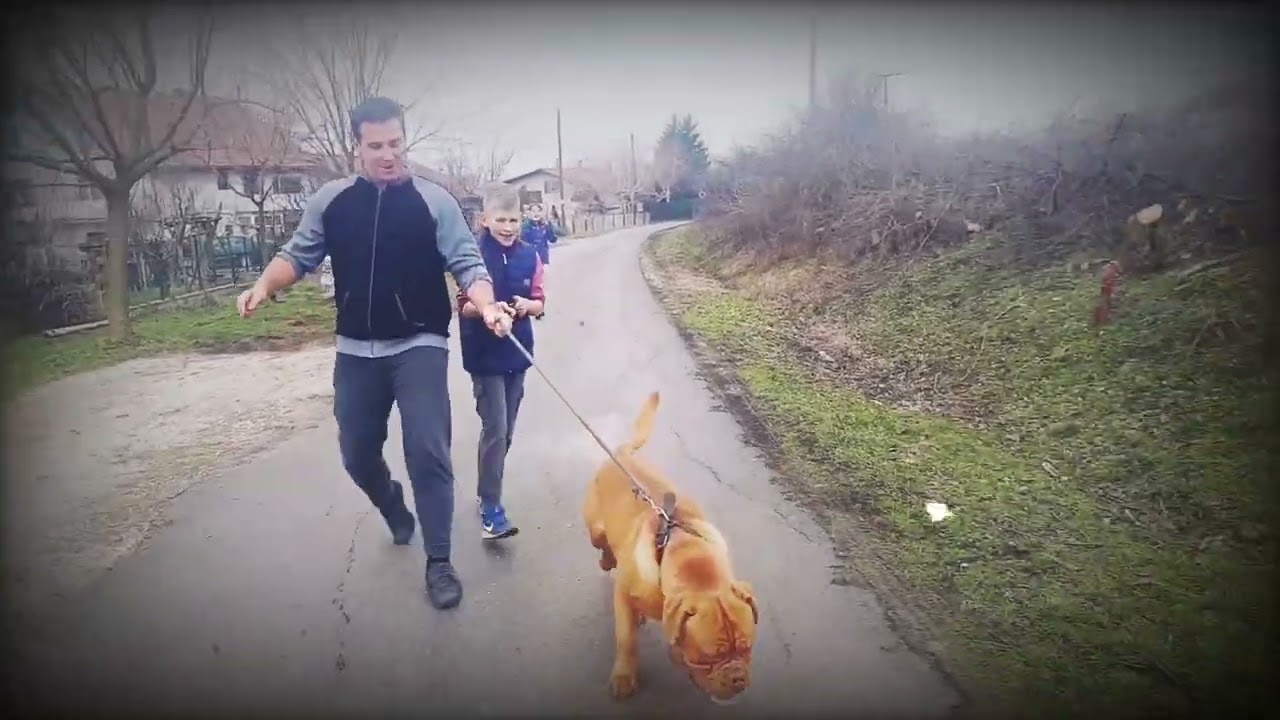 🐕Мали дебели добри пас... 😎📸😁