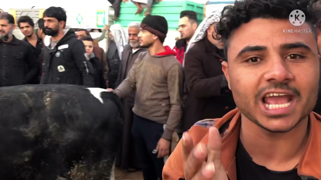 صفات البصره الموحده مزاد حجي ياسين ابو محمد زبون اخوكم سجاد الفضلي